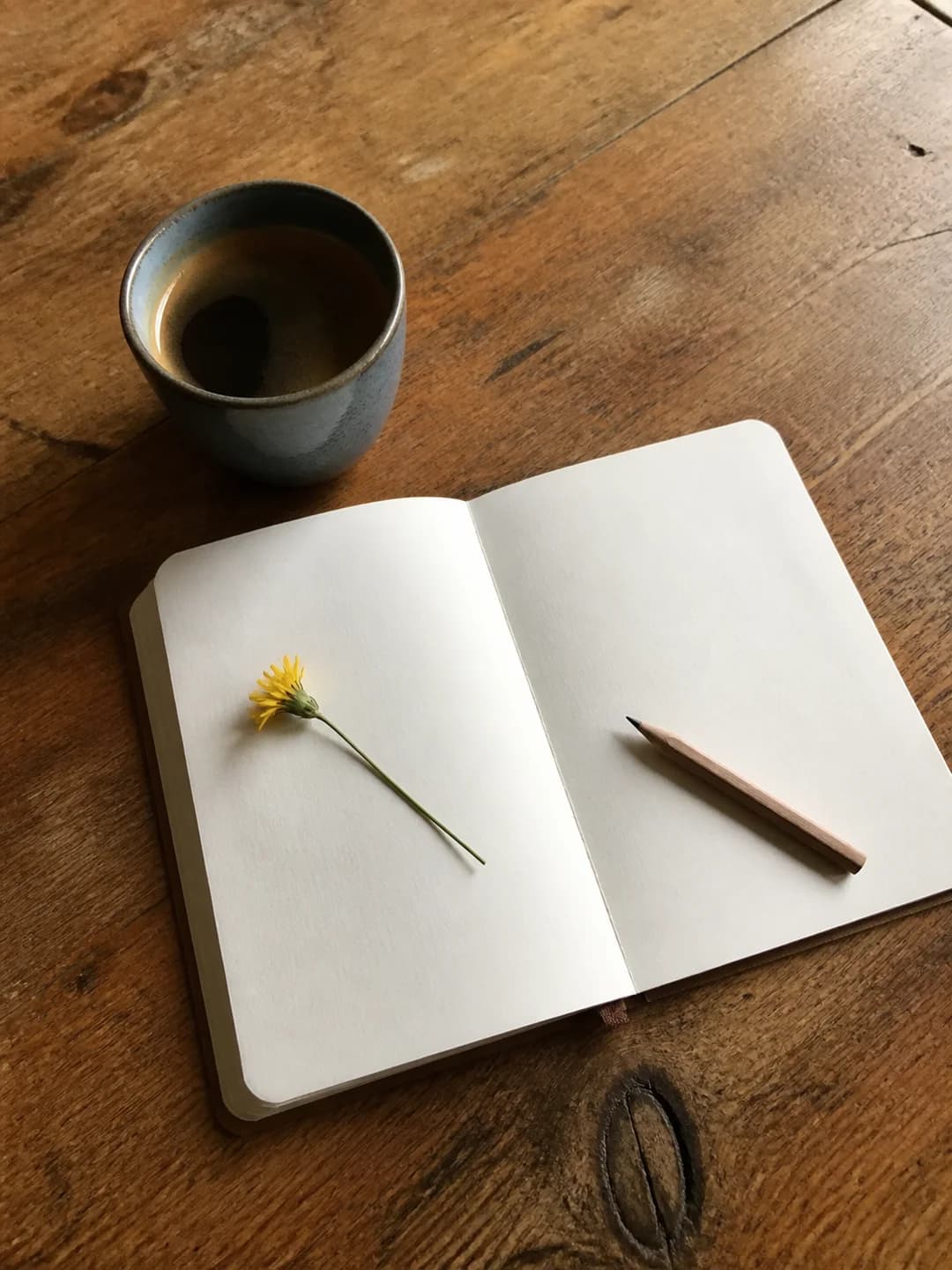 Converta uma natureza-morta em lápis e aquarela: Foto